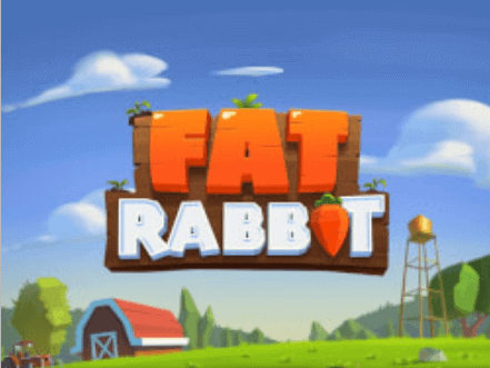 fat-rabbit